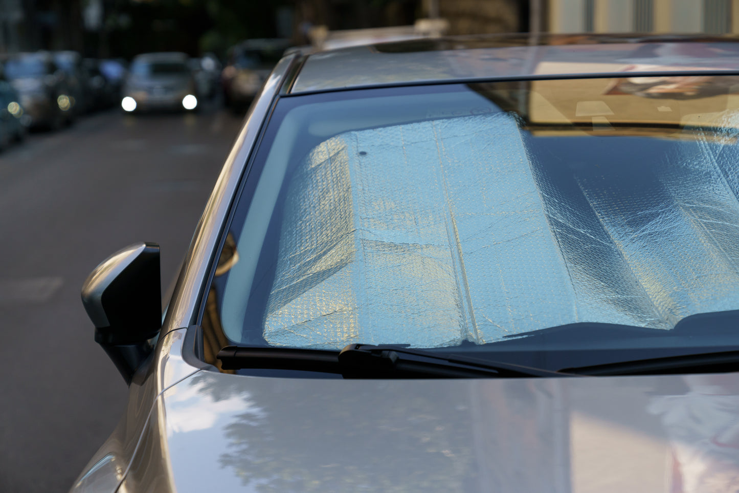 Front and Rear Foldable Car Sunshade (Silver)